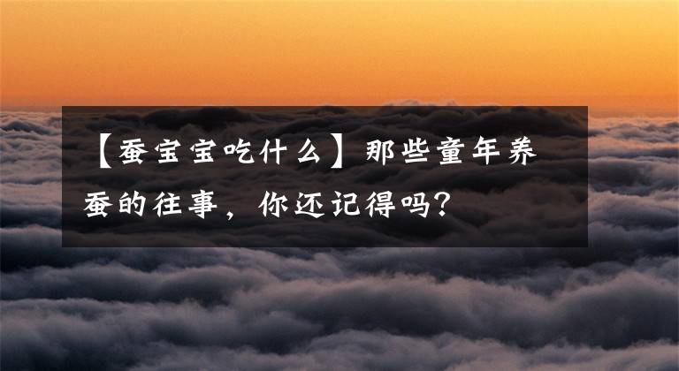 【蠶寶寶吃什么】那些童年養(yǎng)蠶的往事，你還記得嗎？