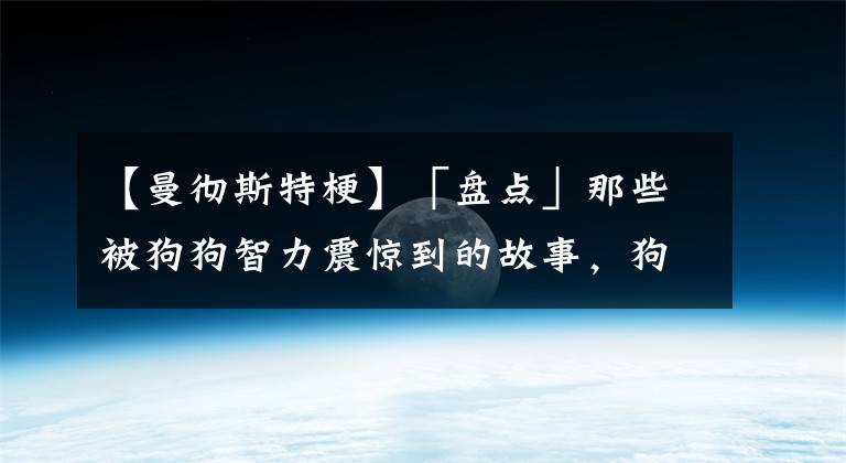 【曼徹斯特?！俊副P(pán)點(diǎn)」那些被狗狗智力震驚到的故事，狗狗智商大排名