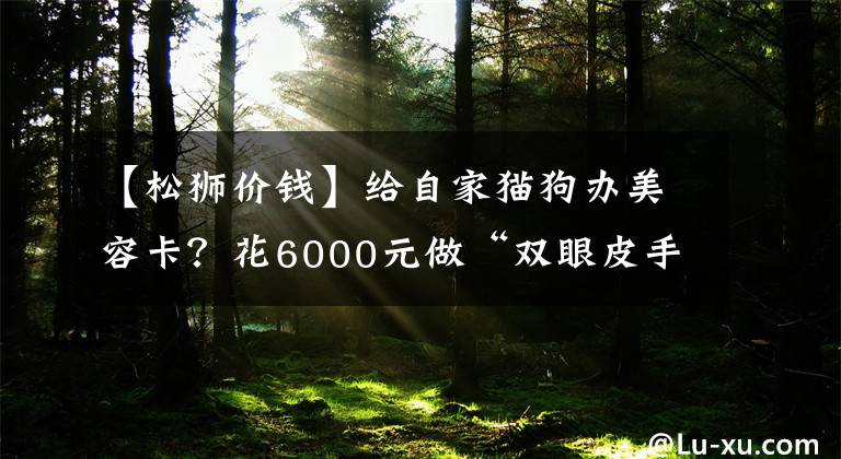 【松獅價(jià)錢】給自家貓狗辦美容卡？花6000元做“雙眼皮手術(shù)”？杭州寵物醫(yī)生說(shuō)出真相