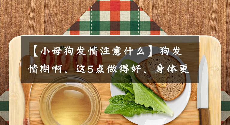 【小母狗發(fā)情注意什么】狗發(fā)情期啊，這5點(diǎn)做得好，身體更健康！