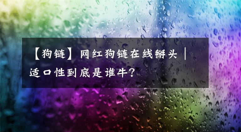 【狗鏈】網(wǎng)紅狗鏈在線掰頭｜適口性到底是誰牛？