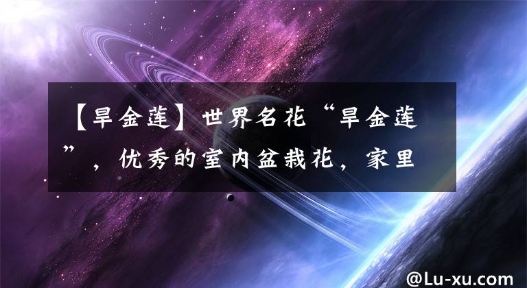 【旱金蓮】世界名花“旱金蓮”，優(yōu)秀的室內(nèi)盆栽花，家里養(yǎng)一盆，四季有花看