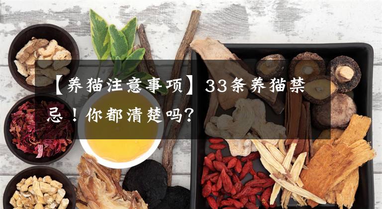 【養(yǎng)貓注意事項(xiàng)】33條養(yǎng)貓禁忌！你都清楚嗎？