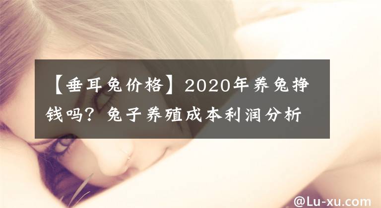 【垂耳兔價格】2020年養(yǎng)兔掙錢嗎？兔子養(yǎng)殖成本利潤分析