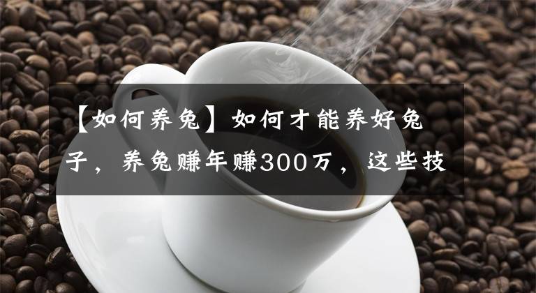 【如何養(yǎng)兔】如何才能養(yǎng)好兔子，養(yǎng)兔賺年賺300萬(wàn)，這些技巧必須看