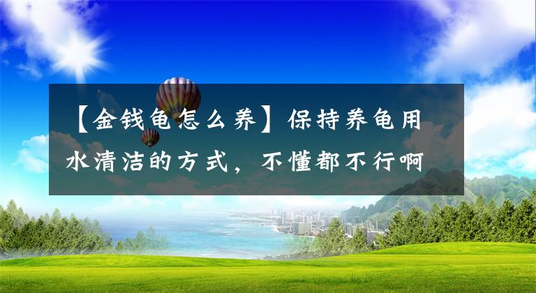 【金錢龜怎么養(yǎng)】保持養(yǎng)龜用水清潔的方式，不懂都不行啊