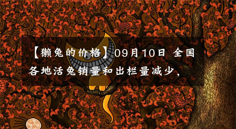 【獺兔的價格】09月10日 全國各地活兔銷量和出欄量減少，價格漲跌博弈