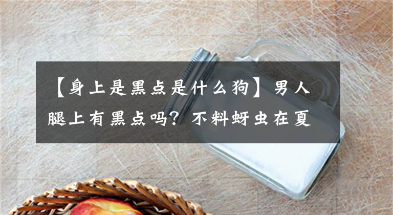 【身上是黑點是什么狗】男人腿上有黑點嗎？不料蚜蟲在夏天要注意這可怕的小蟲。