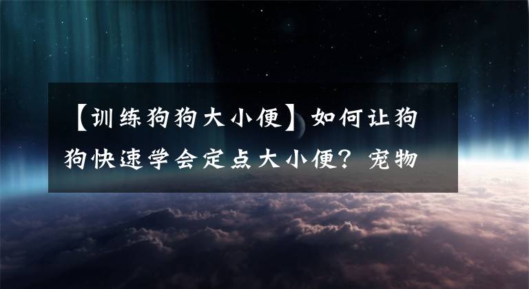 【訓(xùn)練狗狗大小便】如何讓狗狗快速學(xué)會(huì)定點(diǎn)大小便？寵物專家：只要學(xué)會(huì)這7招就可以