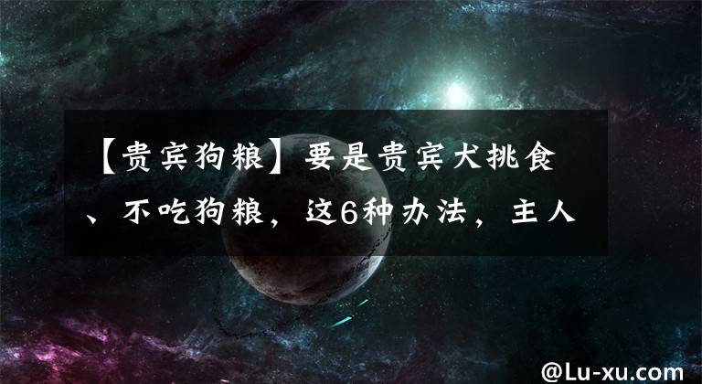 【貴賓狗糧】要是貴賓犬挑食、不吃狗糧，這6種辦法，主人可以試一下