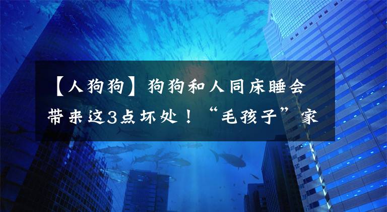 【人狗狗】狗狗和人同床睡會帶來這3點壞處！“毛孩子”家長們要注意