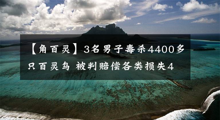 【角百靈】3名男子毒殺4400多只百靈鳥 被判賠償各類損失440余萬元