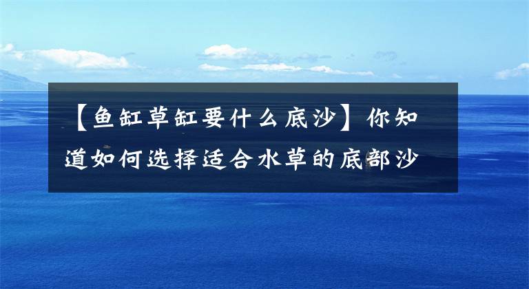 【魚缸草缸要什么底沙】你知道如何選擇適合水草的底部沙子嗎？