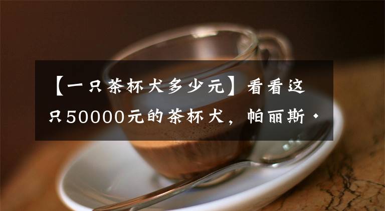 【一只茶杯犬多少元】看看這只50000元的茶杯犬，帕麗斯·希爾頓是有多喜歡