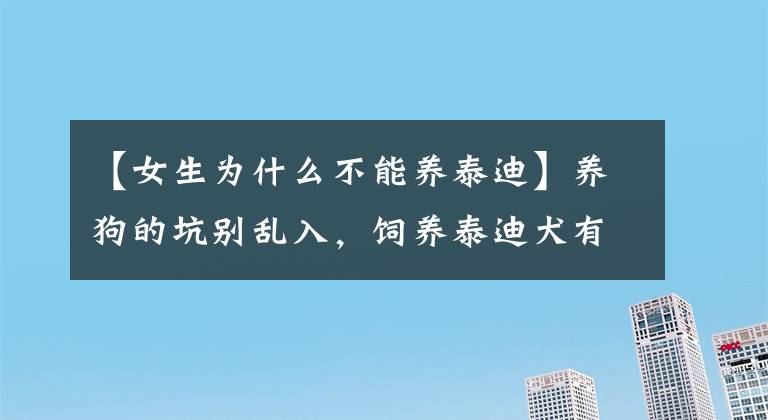 【女生為什么不能養(yǎng)泰迪】養(yǎng)狗的坑別亂入，飼養(yǎng)泰迪犬有這6大“壞處”，做不到我勸你別養(yǎng)