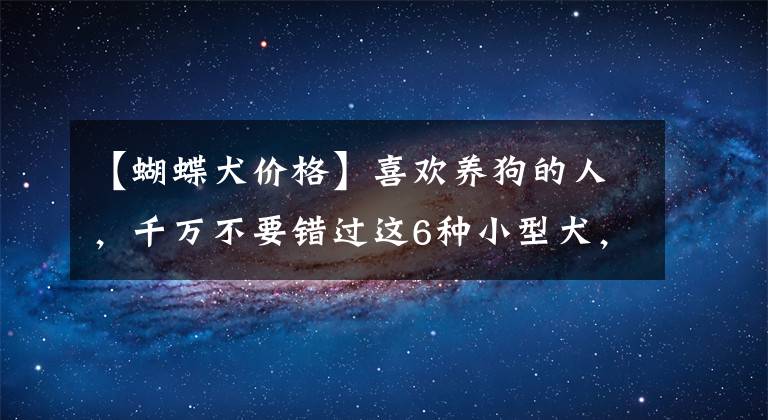 【蝴蝶犬價(jià)格】喜歡養(yǎng)狗的人，千萬不要錯(cuò)過這6種小型犬，它會(huì)忠誠你一輩子