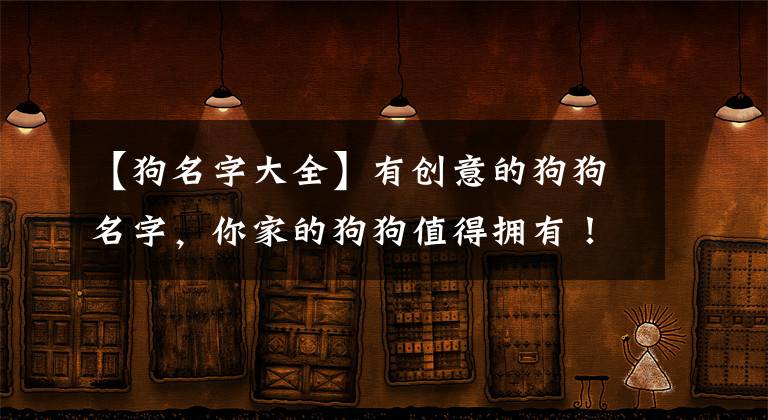 【狗名字大全】有創(chuàng)意的狗狗名字，你家的狗狗值得擁有！