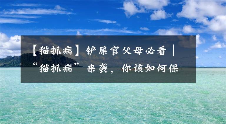 【貓抓病】鏟屎官父母必看｜“貓抓病”來襲，你該如何保護(hù)孩子？