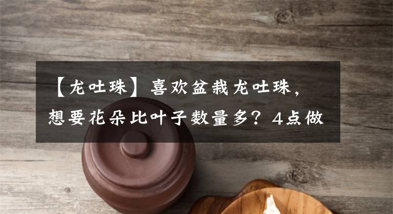 【龍吐珠】喜歡盆栽龍吐珠，想要花朵比葉子數(shù)量多？4點(diǎn)做到位，月月開花