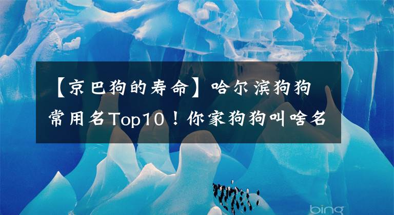 【京巴狗的壽命】哈爾濱狗狗常用名Top10！你家狗狗叫啥名？