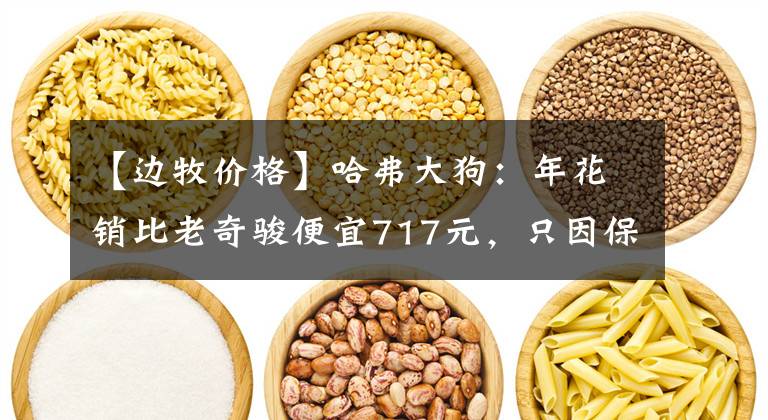 【邊牧價格】哈弗大狗：年花銷比老奇駿便宜717元，只因保養(yǎng)劃算？