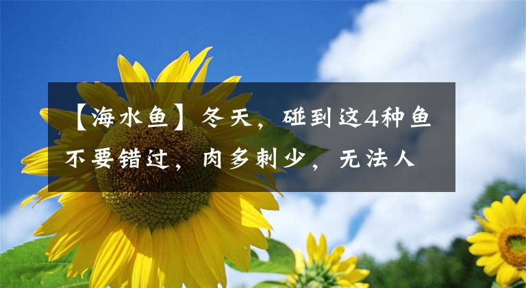 【海水魚】冬天，碰到這4種魚不要錯(cuò)過，肉多刺少，無法人工養(yǎng)殖，值得嘗嘗