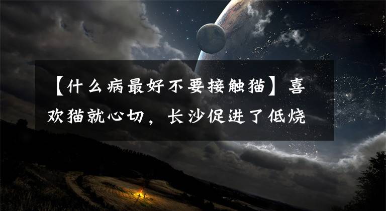 【什么病最好不要接觸貓】喜歡貓就心切，長沙促進(jìn)了低燒和咳嗽，得了“抓貓病”。