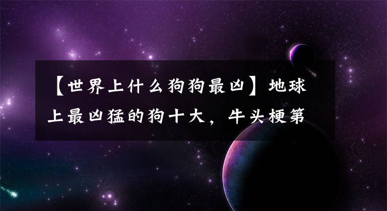 【世界上什么狗狗最兇】地球上最兇猛的狗十大，牛頭梗第九，高加索第二，中國藏獒第一。