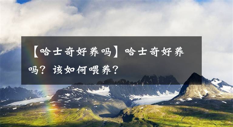 【哈士奇好養(yǎng)嗎】哈士奇好養(yǎng)嗎？該如何喂養(yǎng)？