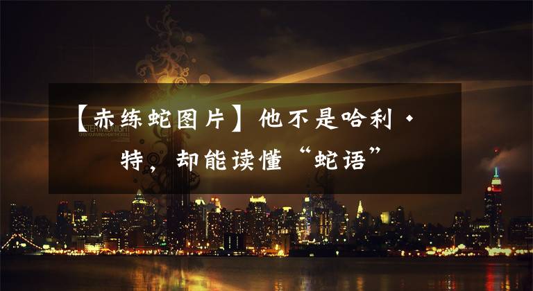 【赤練蛇圖片】他不是哈利·波特，卻能讀懂“蛇語”