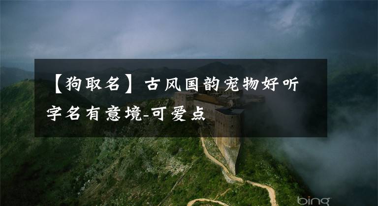 【狗取名】古風(fēng)國(guó)韻寵物好聽(tīng)字名有意境-可愛(ài)點(diǎn)