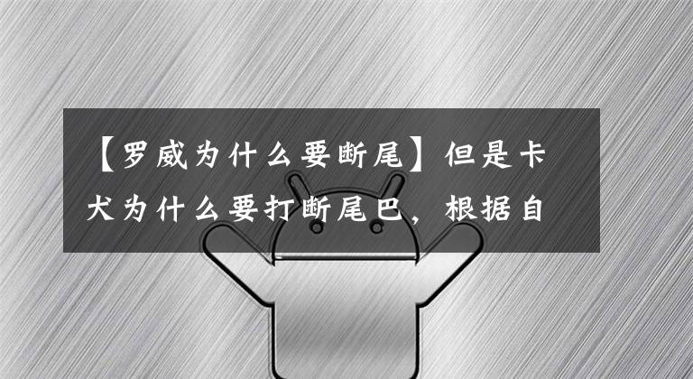 【羅威為什么要斷尾】但是卡犬為什么要打斷尾巴，根據(jù)自己的特性來決定呢？