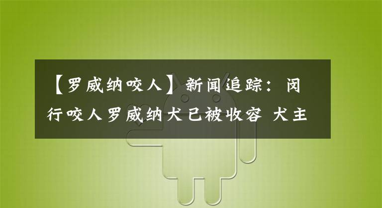 【羅威納咬人】新聞追蹤：閔行咬人羅威納犬已被收容 犬主人遭罰款