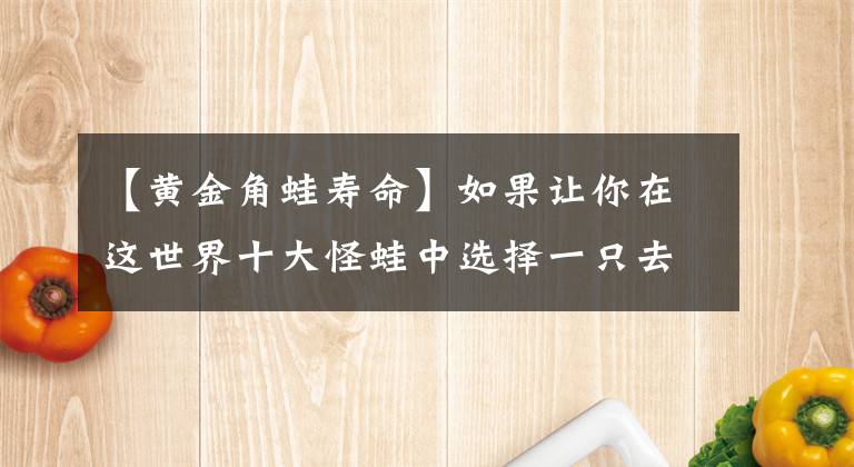 【黃金角蛙壽命】如果讓你在這世界十大怪蛙中選擇一只去旅行，你會選擇哪一只呢？