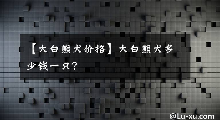 【大白熊犬價格】大白熊犬多少錢一只？