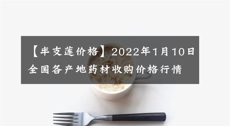 【半支蓮價(jià)格】2022年1月10日全國各產(chǎn)地藥材收購價(jià)格行情