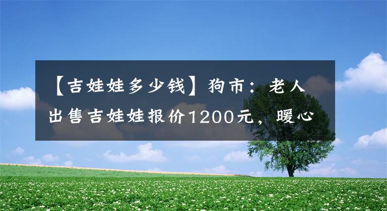 【吉娃娃多少錢】狗市：老人出售吉娃娃報價1200元，暖心為吉娃娃穿上衣服！