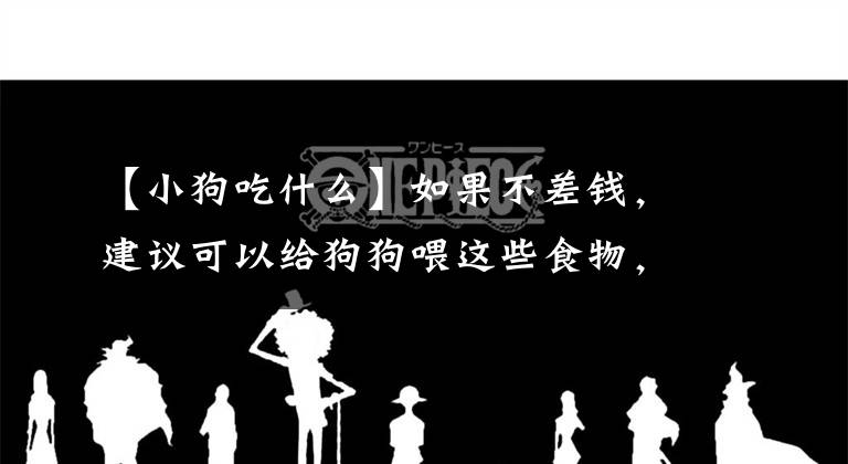 【小狗吃什么】如果不差錢，建議可以給狗狗喂這些食物，對身體好