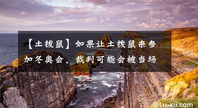 【土拔鼠】如果讓土撥鼠來參加冬奧會，裁判可能會被當(dāng)場萌死