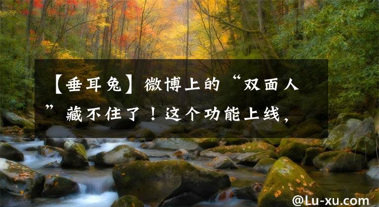 【垂耳兔】微博上的“雙面人”藏不住了！這個(gè)功能上線，大快人心