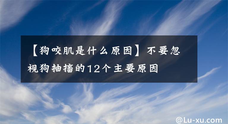 【狗咬肌是什么原因】不要忽視狗抽搐的12個(gè)主要原因