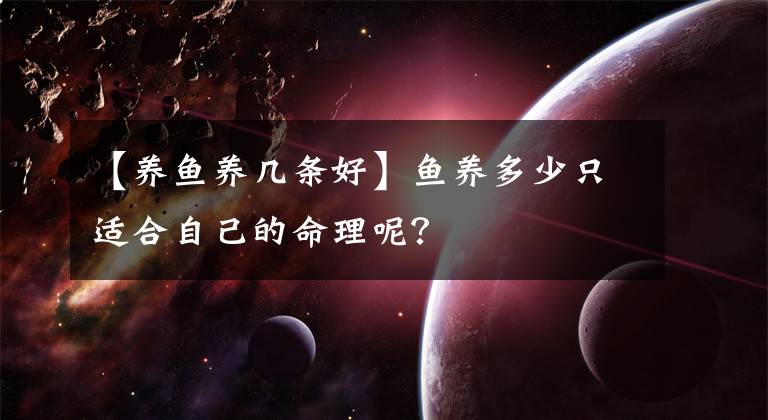 【養(yǎng)魚(yú)養(yǎng)幾條好】魚(yú)養(yǎng)多少只適合自己的命理呢？