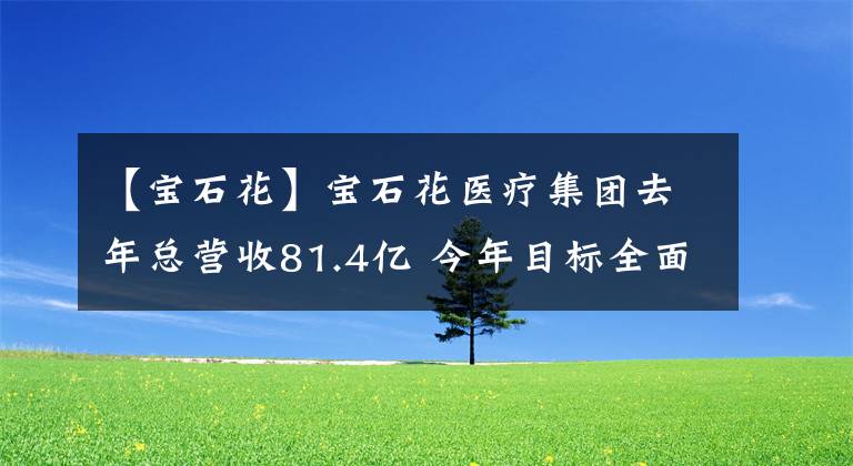 【寶石花】寶石花醫(yī)療集團(tuán)去年總營收81.4億 今年目標(biāo)全面扭虧