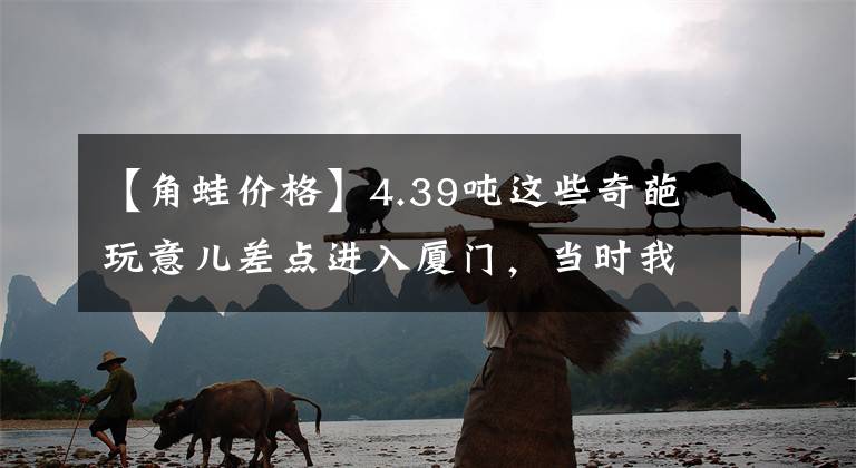 【角蛙價格】4.39噸這些奇葩玩意兒差點進入廈門，當時我就震驚了！