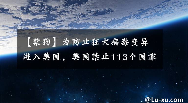 【禁狗】為防止狂犬病毒變異進(jìn)入美國(guó)，美國(guó)禁止113個(gè)國(guó)家的狗入境