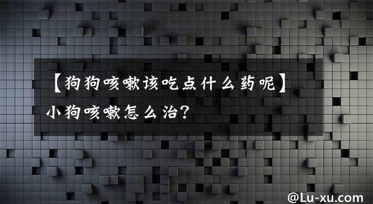 【狗狗咳嗽該吃點(diǎn)什么藥呢】小狗咳嗽怎么治？