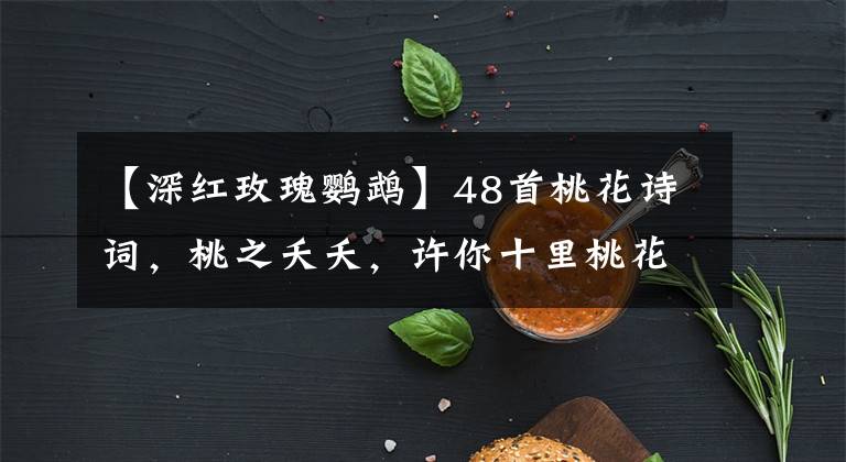 【深紅玫瑰鸚鵡】48首桃花詩詞，桃之夭夭，許你十里桃花