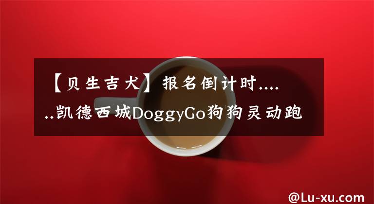 【貝生吉犬】報名倒計時......凱德西城DoggyGo狗狗靈動跑開賽倒計時2天