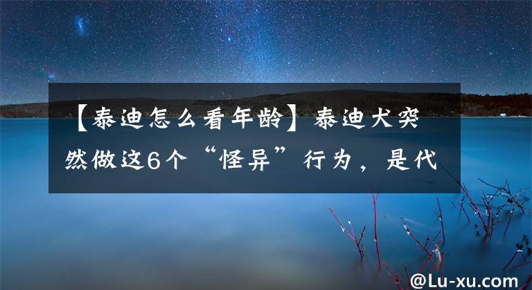 【泰迪怎么看年齡】泰迪犬突然做這6個(gè)“怪異”行為，是代表即將有事發(fā)生