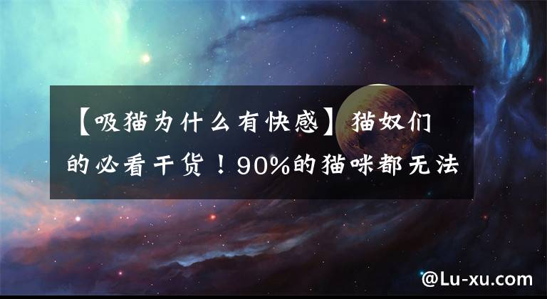 【吸貓為什么有快感】貓奴們的必看干貨！90%的貓咪都無(wú)法避免的貓皰疹究竟是個(gè)啥？